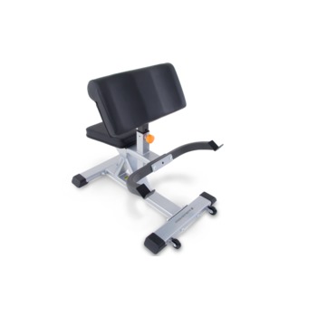 BANCO BICEPS MOVEMENT 1